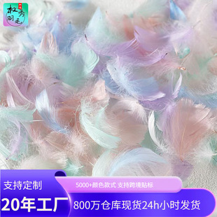 ���l��ɫС��ëС�h�Zë��Y���c��̨�bY�жY����䲶���W����