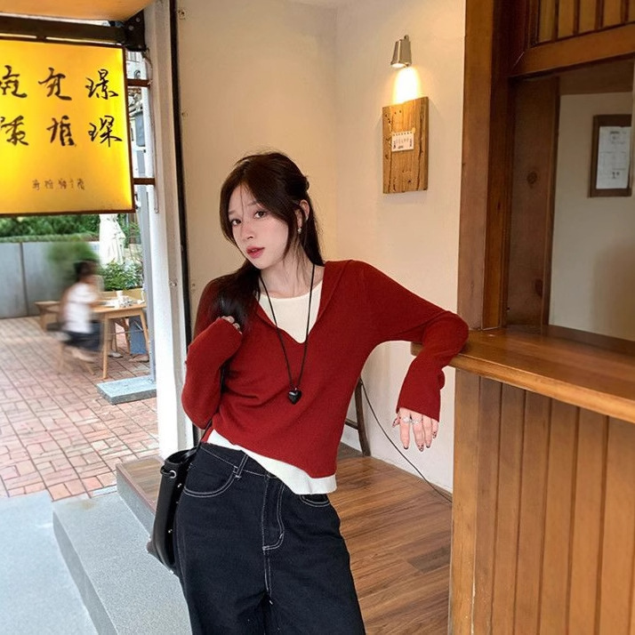 连帽打底衫女秋冬内搭可外穿2025新款上衣假两件针织衫设计感毛衣|undefined