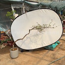 黄精黄荆造型盆栽熟桩造景绿化苗木飘枝黄荆耐活庭院植物花镜盆景