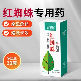 �t֩�뚢�x�����\�� �rș���S���\�������\�� ���ܹ����߲��\�x