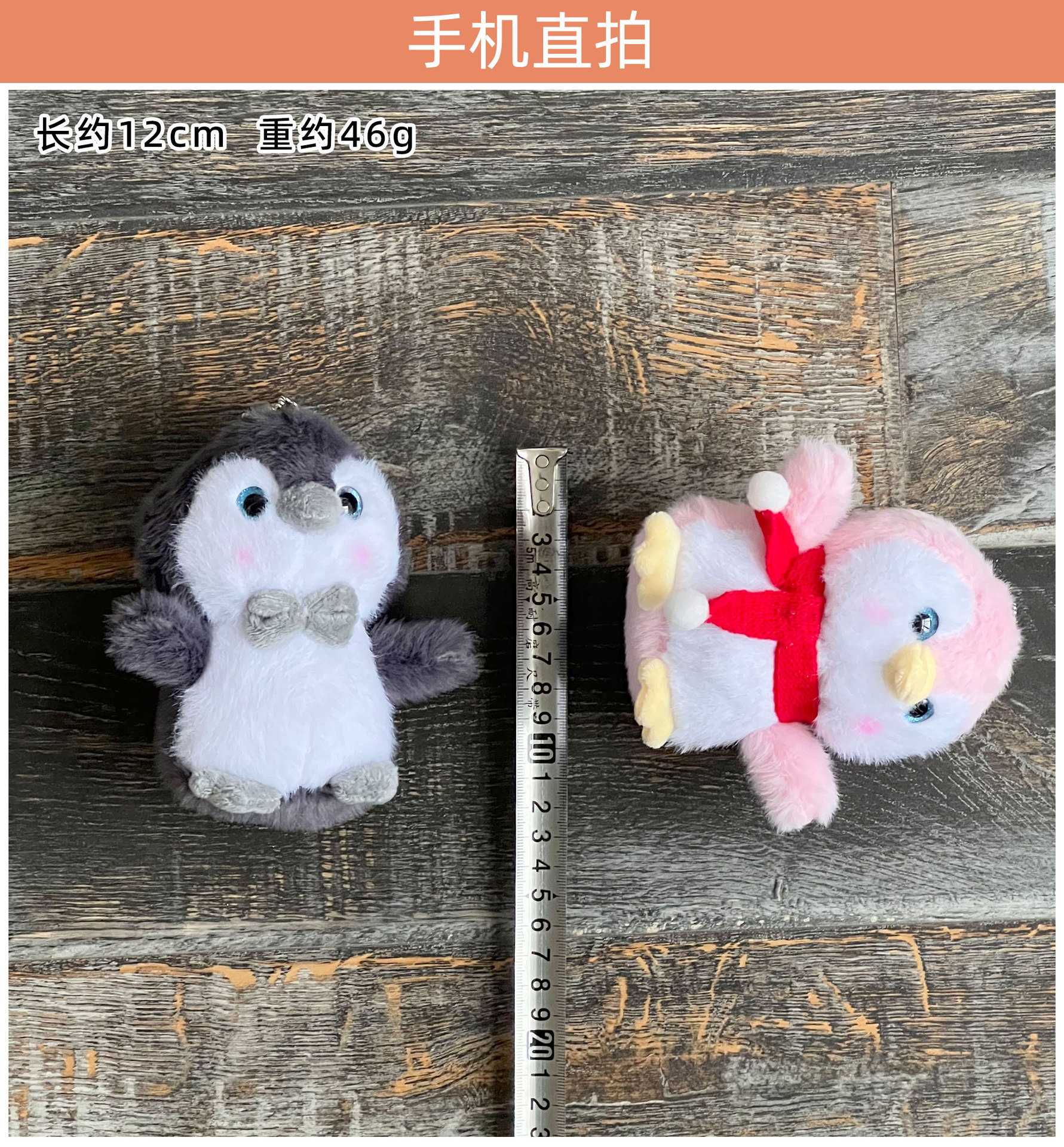 手机实拍-领结企鹅.jpg