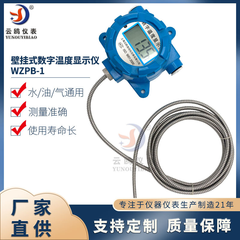 壁挂式数字温度显示仪PT100挂壁分体式数字数显测温计软管线缆式