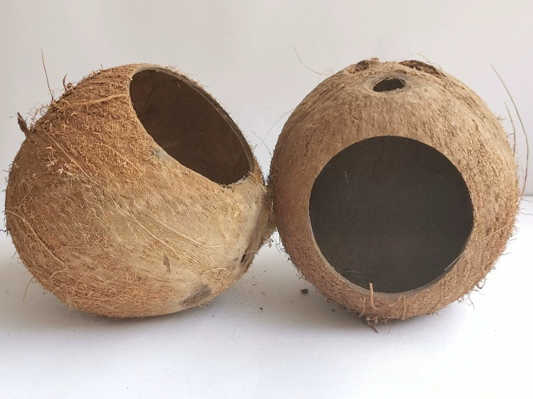 A new type of coconut shell bird nest bird cage breeding box peony tiger leather parrot bird nest wood house