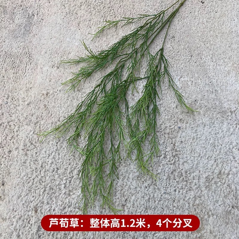 루순차오
