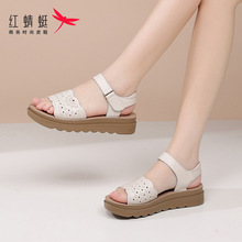 红蜻蜓夏季镂空沙滩鞋女士凉鞋女款新款外穿真皮中老年妈妈不累脚