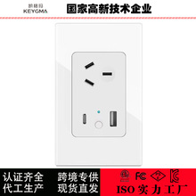 澳规Tuya Smarlife智能插座PD30W电源面板 澳规wifi插座USB 30W