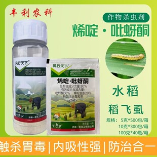 ����һ�r�L������80%ϩ�&middot;����ͪˮ�����wʭ�rș���x����Ʒ