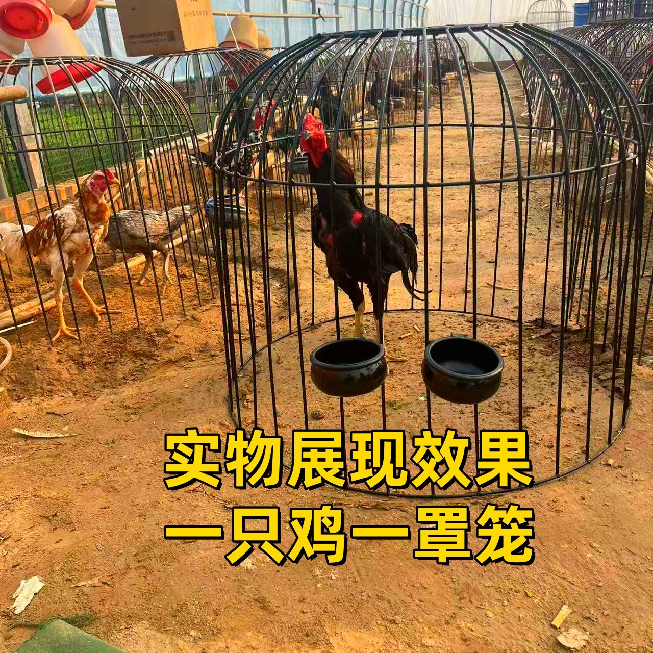 Большая складная железная клетка для домашнего использования, подходит для боя петухов, с усиленными стальными прутьями, однослойная сборка, тренировочные принадлежности.