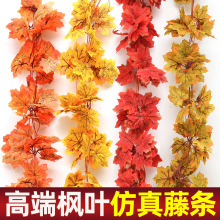 �t���~�ٗl��ڼ٘��~���f�}�����}�����쾰�������b���