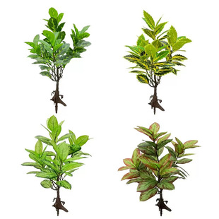 �羳���W�L����Gֲ���Z�q�f�������ݼҾ����������ֲ������