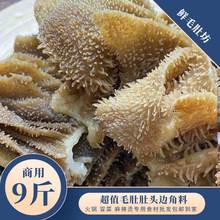 毛肚商用边角料五斤牛百叶千层肚新鲜水发火锅串串食材牛肚丝