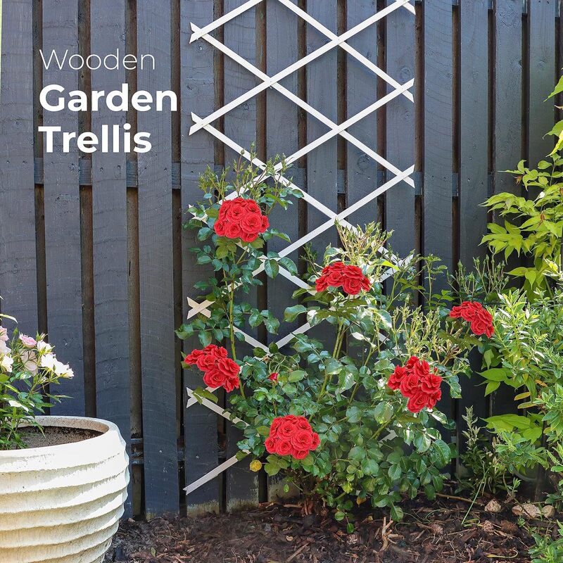 Cross-Border Expandable Garden Trellis, Thickened Plastic Fence for Climbing Plants Cross-Border Expandable Garden Trellis, Thickened Plastic Fence for Climbing Plants