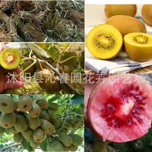 JҷNӫJ殐NˮNӷNl߲˷Nl˷N