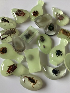 True Insect Luminous Amber Specimen Blind Box Children's Digging Archaeological Pendant Accessories Scorpion Insect Specimen Blind Bag