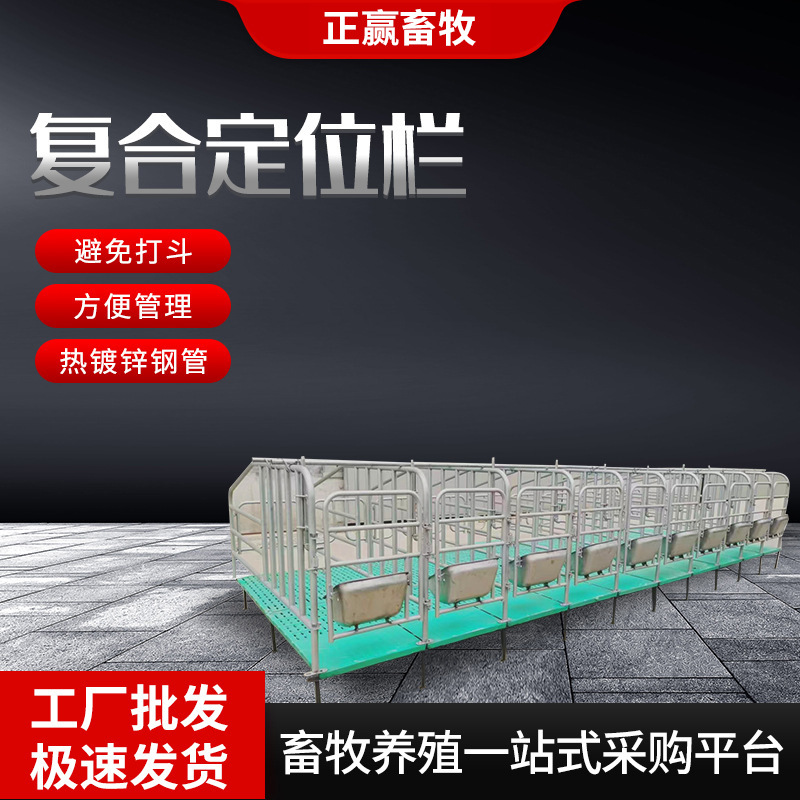 大货批发定位栏养猪场小猪限位栏加厚镀锌管5头10头位母猪定位栏