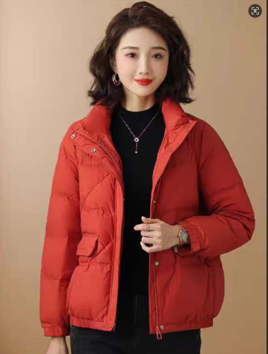 Invierno nuevo cuello vertical chaqueta de plumón mujer abrigo abrigo abrigo corto suelto stock