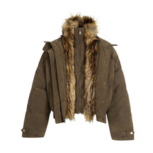 b2025ɽpuƤëI׼كɼ޷