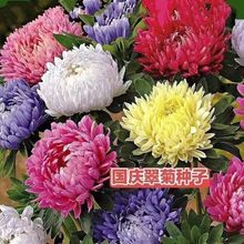 cշNӶɫջN̨ͥԺԻݑǹͺܷN