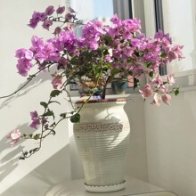 ��̖���⻨���մ�����÷��������̨��β���Gֲ͸������������L