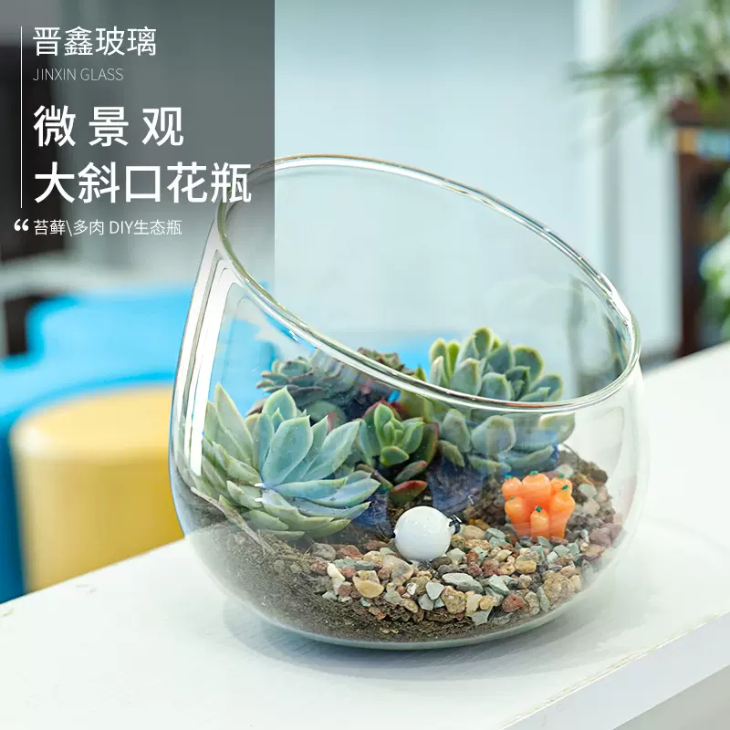 微景观玻璃花瓶大斜口造景瓶多肉苔藓植物水培花瓶量大从优