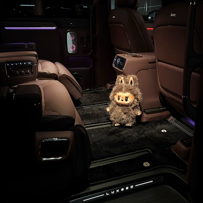 floor mats, Modelə uyğun ayaqaltı
