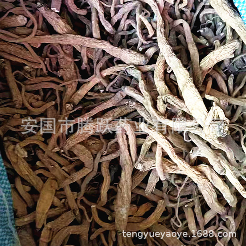 Tibetan Miguqin Root Sui Ye Cai Dried Herb 500g Traditional Herbal Decoction Ingredient quality and texture