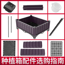 ��ܽ50cm������Nֲ������M���̨�Nֲ��N�����픑��⻨�ۼ�ͥ