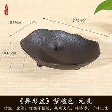 异形无孔花盆多肉植物苔藓球菖蒲火山石盆栽盆景多用树脂花盆