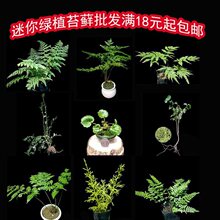 ���ָ�ˮꑸ���ˮʯ��ɽ�쾰�Gֲ΢���^С�辰�Gֲ�r��̦�\ֲ��