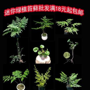 ���ָ�ˮꑸ���ˮʯ��ɽ�쾰�Gֲ΢���^С�辰�Gֲ�r��̦�\ֲ��