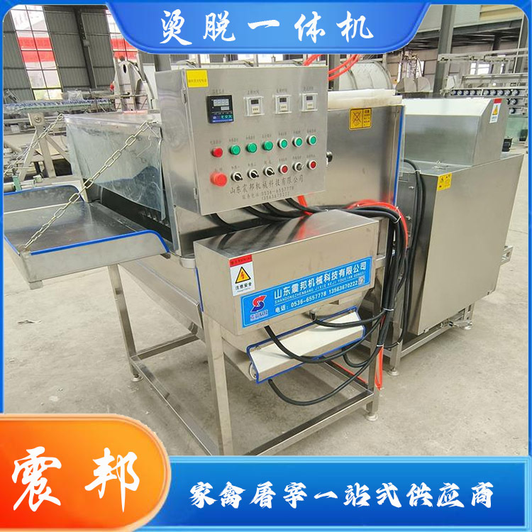 不锈钢家禽用立式烫池加工 全自动鸡屠宰流水线设备 双业机械供应