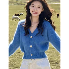 慵懒风蓝色v领针织开衫女2025春秋新款软糯毛衣小个子外套短上衣
