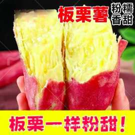 河南板栗红薯干面正宗现发红皮蜜薯沙地番薯新鲜批发黄心当季地瓜