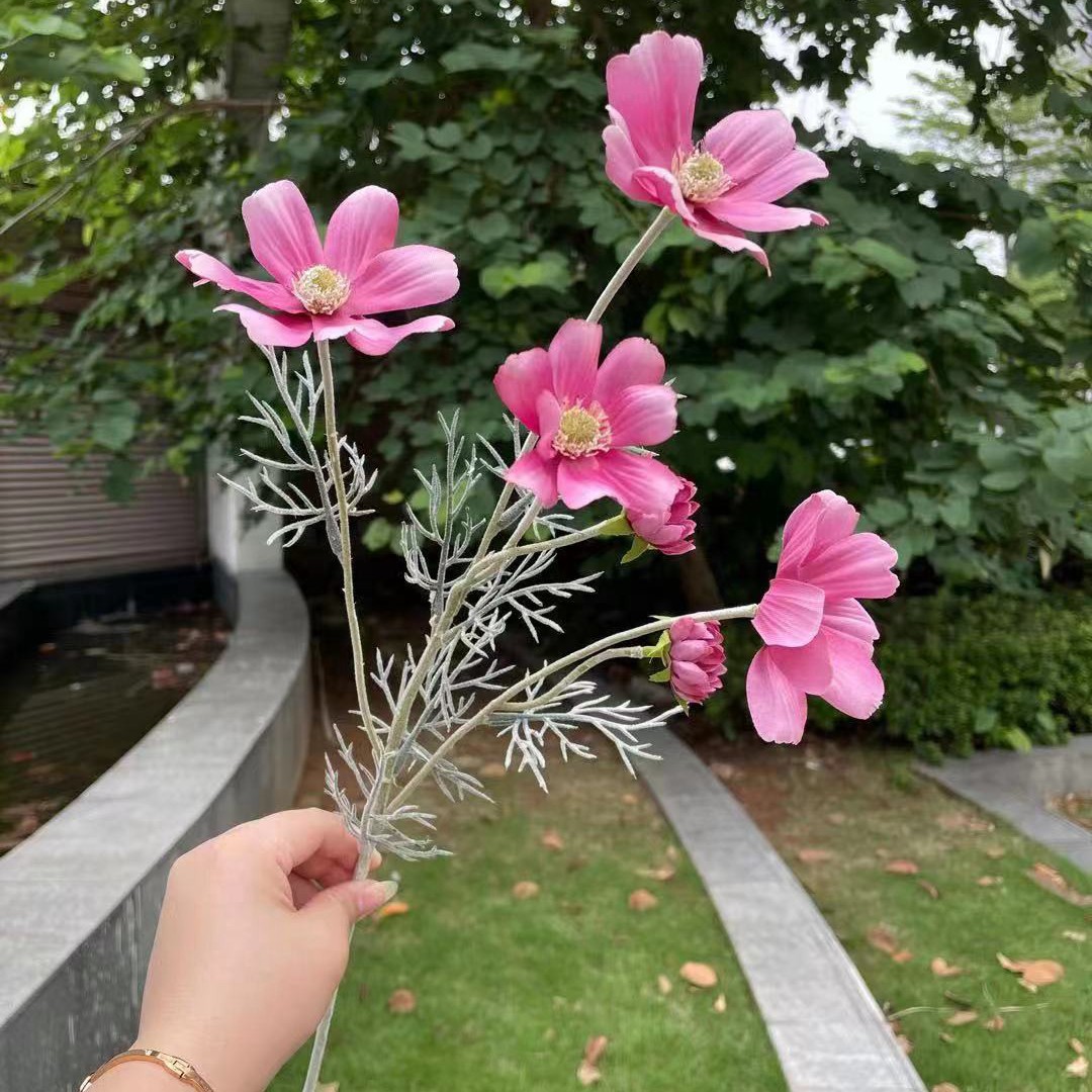 6 Cabeza de crisantemo persa rojo Venecia