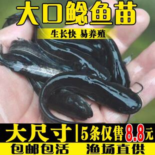 �Ϸ�����T�~�絭��ˮ�Bֳ��������T������ˮ�~�����T�~���T�~��