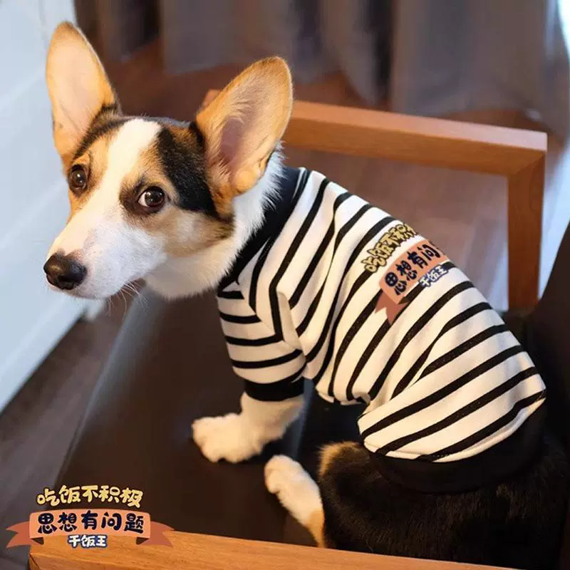 Одежда для собак для собак осенью и зимой