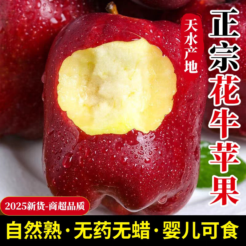 正宗甘肃天水花牛苹果3/5/9斤蛇红果脆沙甜新鲜水果当季应季苹果