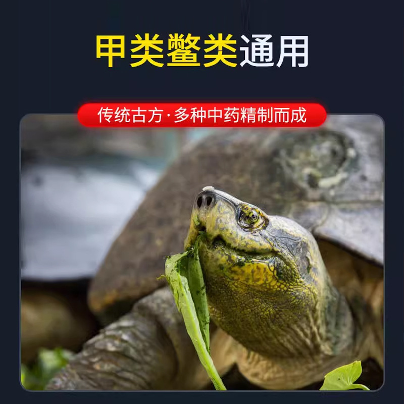 Señuelo de pesca de Shu, señuelo de pesca de caparazones, señuelo de peces, señuelo de peces