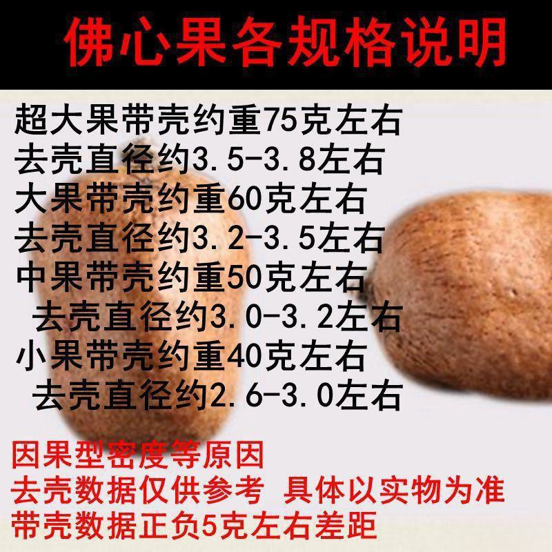 보디 과일 부처님 심장 과일 말레이시아 원래 씨앗 오래 된 과일 다채로운 큰 과일 펜던트 목걸이 원래 과일 빨간색 대형 손잡이