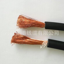 �ӱ��ϏS 35mm&sup2; H01N2-D ������| �W�˘�׼