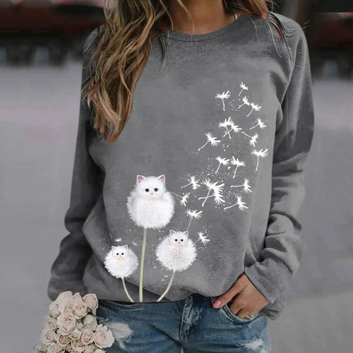 Autumn and winter new products, European and American printed casual loose pullover, long-sleeved women's clothes, tops, sweaters, women