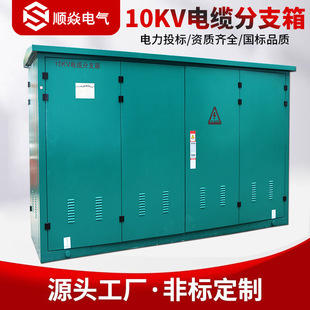 10Kv High Voltage Cable Branch Box Stainless Steel Iron Shell Branch Box One in Two Three Out Stainless Steel Outdoor Opening and Closing