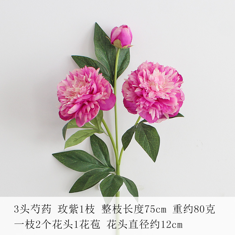 로즈 퍼플