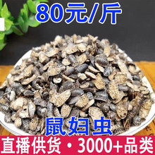 ��D�x ���x ���x�� ��ʭ���l���l