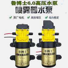 鲁博士高压喷雾器水泵电动喷雾器水泵微型隔膜泵打药泵喷药泵批发
