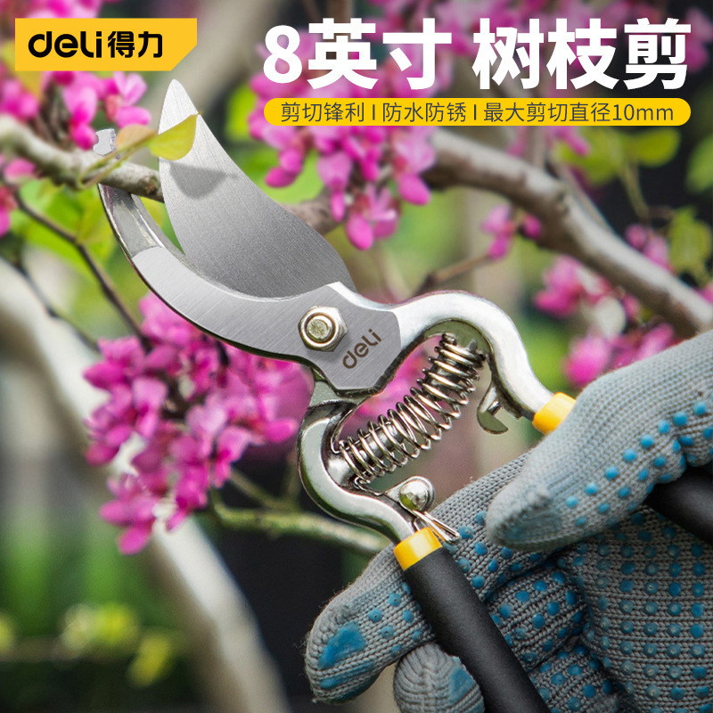 得力8英寸树枝剪园林花艺修剪树枝剪刀果树剪刀粗大花剪园林修