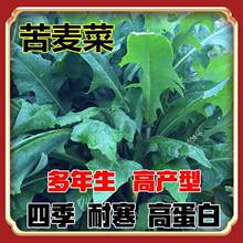 ���{�˷N�Ӷ������ļ�����˿��������ݷN��ι�u���Zţ���~�ò���