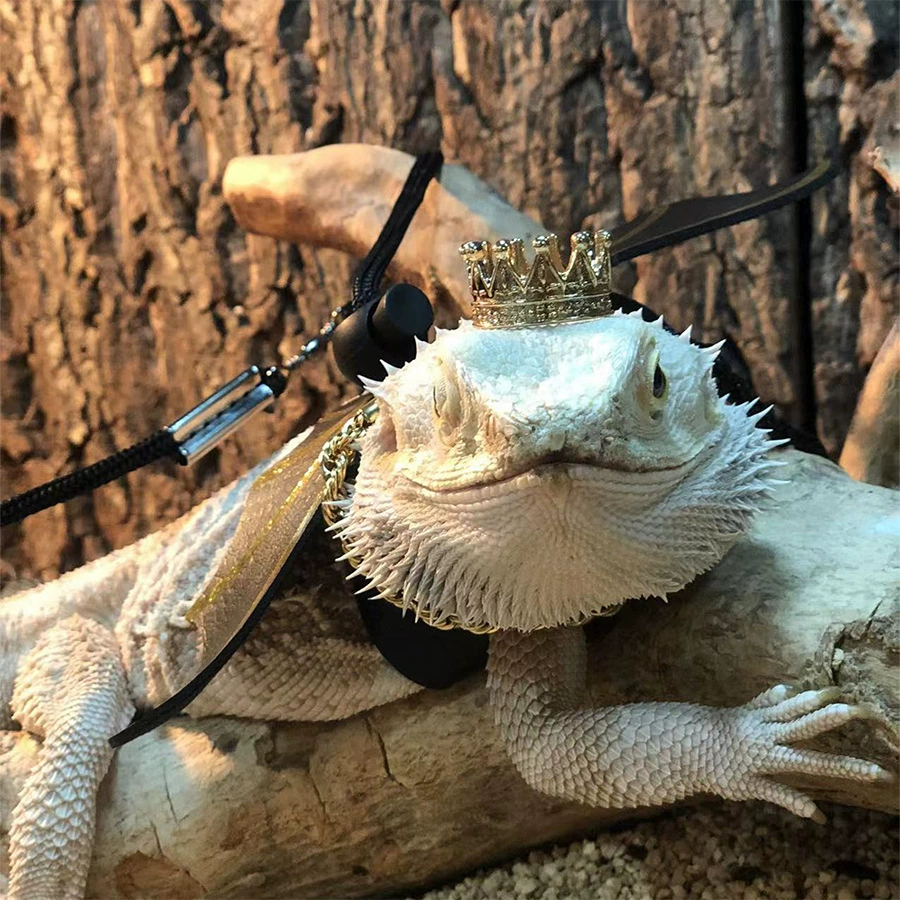 Ящерица Тяговый канат восхождение Pet Out Тяговый ремень ходьба ящерица веревка маленький питомец Тяговый канат кожаные крылья тяга