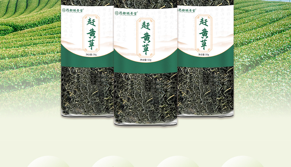 Gan Huang Cao Tea Bags 50g Canister Dried Penthorum chinense Pursh Leaves Herbal Infusion overview