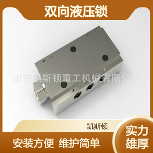 ��ʽ��ʽƽ���y �p��Һ���i  FDS100/40Һ���p���i
